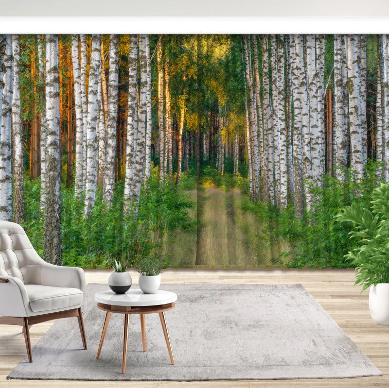 Fotovorhang "Fußweg im Wald"
