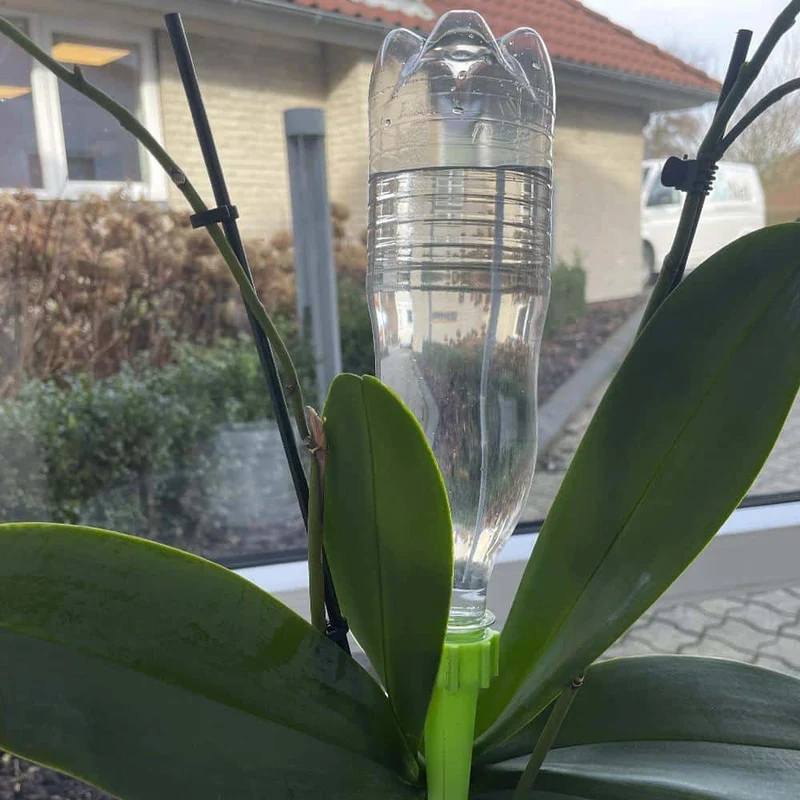 Selvvannende for potteplanter / senger - Pakke med 6 stk. | Luvikno
