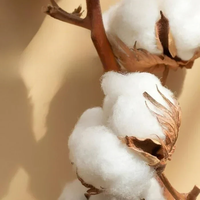 Satin Bomull Brodert Sengetøy Sett - Luxora | Luvikno