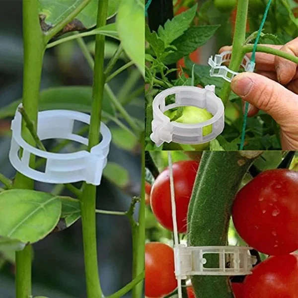 GripKing Clips — Hold plantene sterke og oppdag enkelt, sunn vekst! | Luvikno