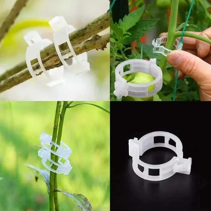 VitaGrip Clips — Sterk hold for majestetiske planter som vokser og trives stolt | Luvikno