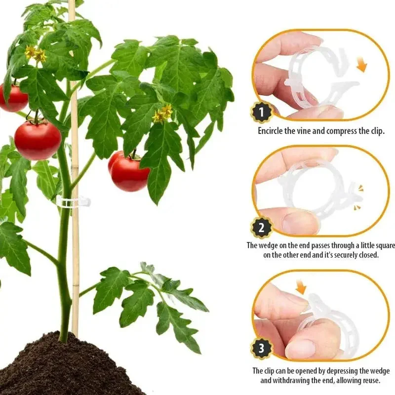 VitaGrip Clips — Sterk hold for majestetiske planter som vokser og trives stolt | Luvikno
