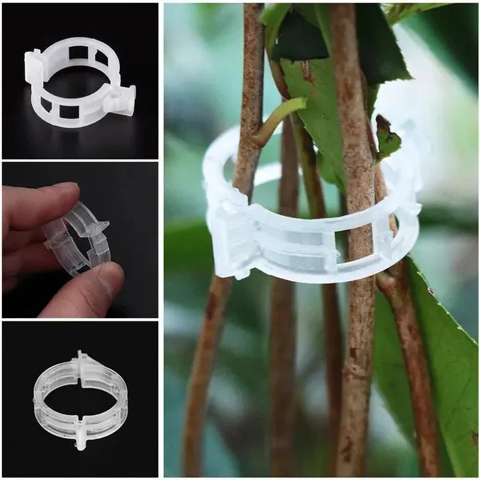 VitaGrip Clips — Sterk hold for majestetiske planter som vokser og trives stolt | Luvikno
