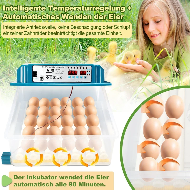 Brutautomat Fulle Automatisk Inkubator for Kyllinger 36 Egg | Luvikno