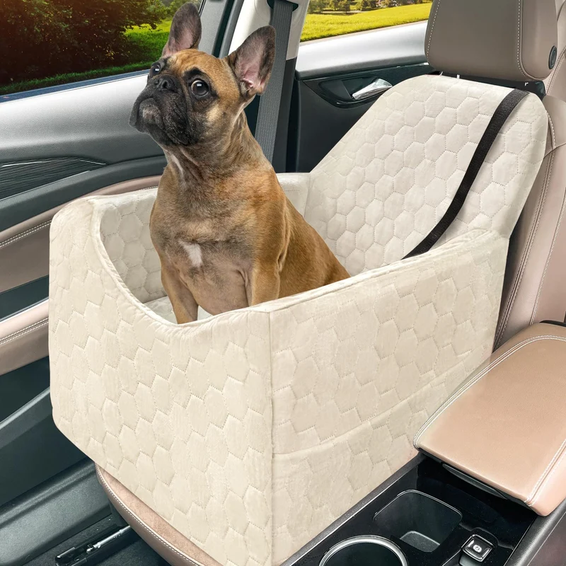 Damer Hund Seter Luvikno