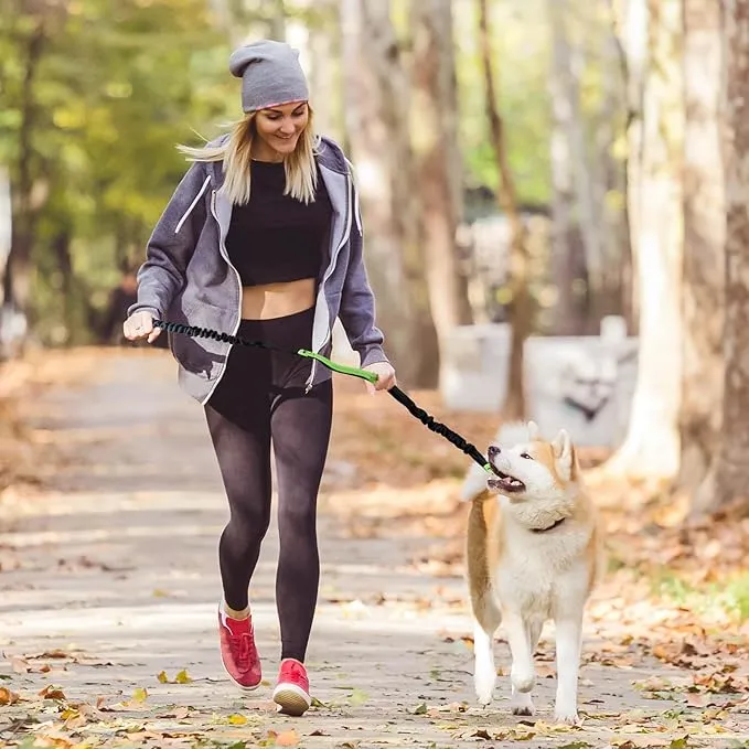 FlowLeash — Opplev myk kontroll og avslappede turer uten rykk! | Luvikno