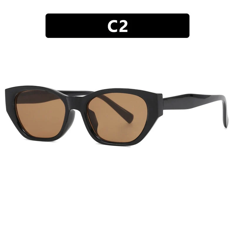 Dame Cat-Eye solbriller med transparent, geometrisk ramme Luvikno
