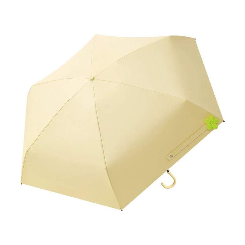 Dame Reise Regn Takk Luvikno