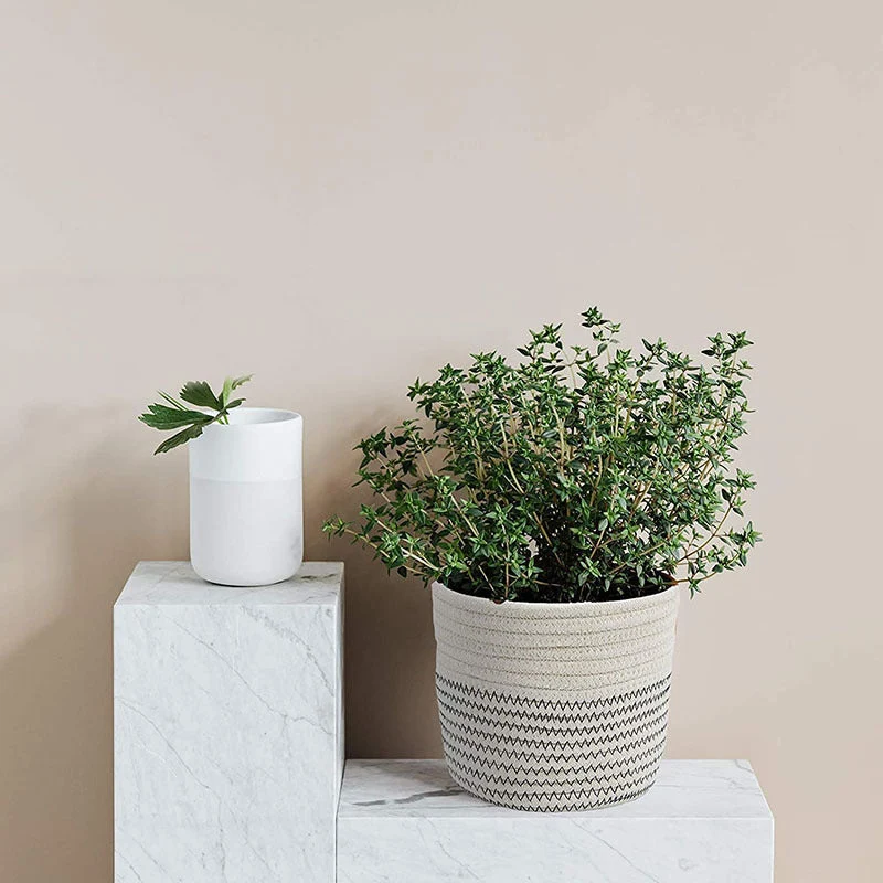 Dame Stylish Organizer-kurvsett Luvikno
