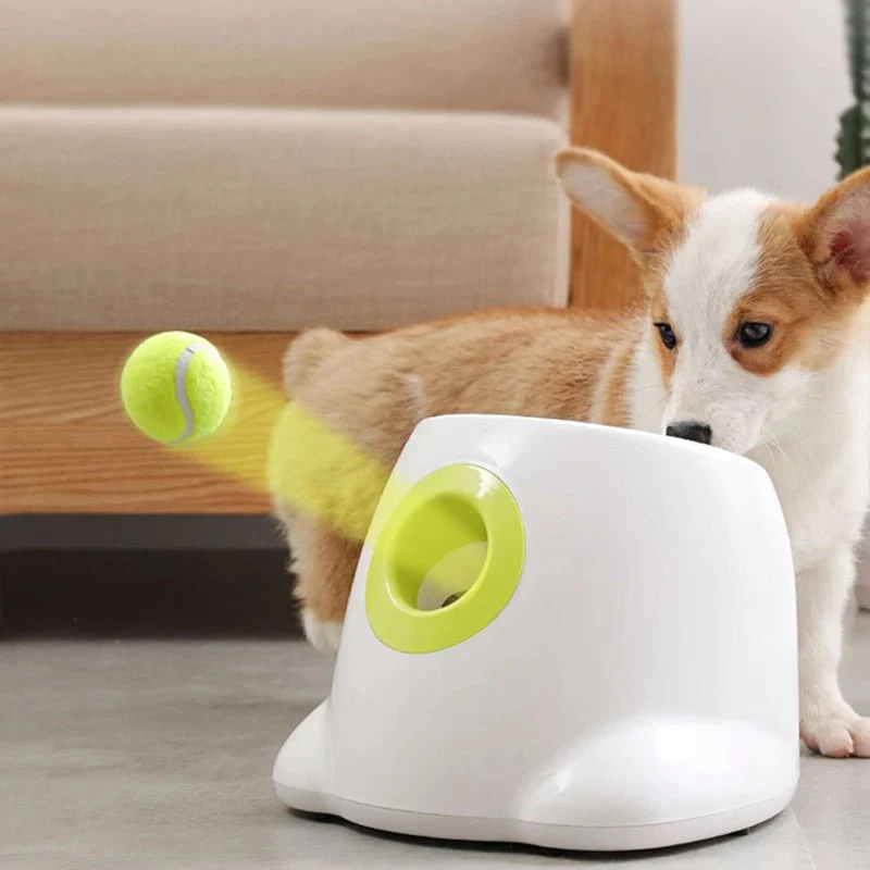PlayBolt Automatisk Ball Kaster for Hunder | Luvikno