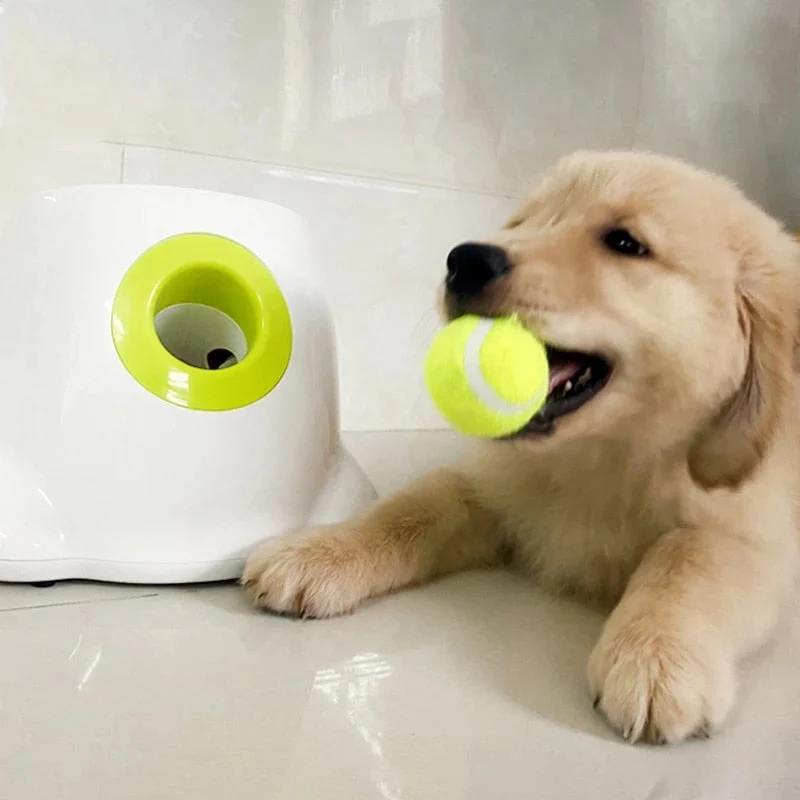PlayBolt Automatisk Ball Kaster for Hunder | Luvikno