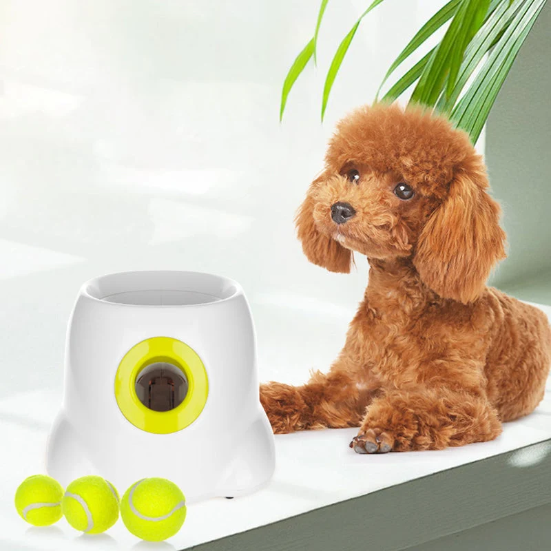 PlayBolt Automatisk Ball Kaster for Hunder | Luvikno