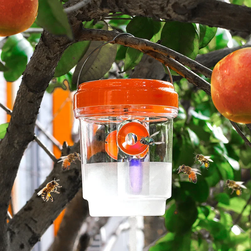 Solar drevet veps felle med LED lokk | Luvikno