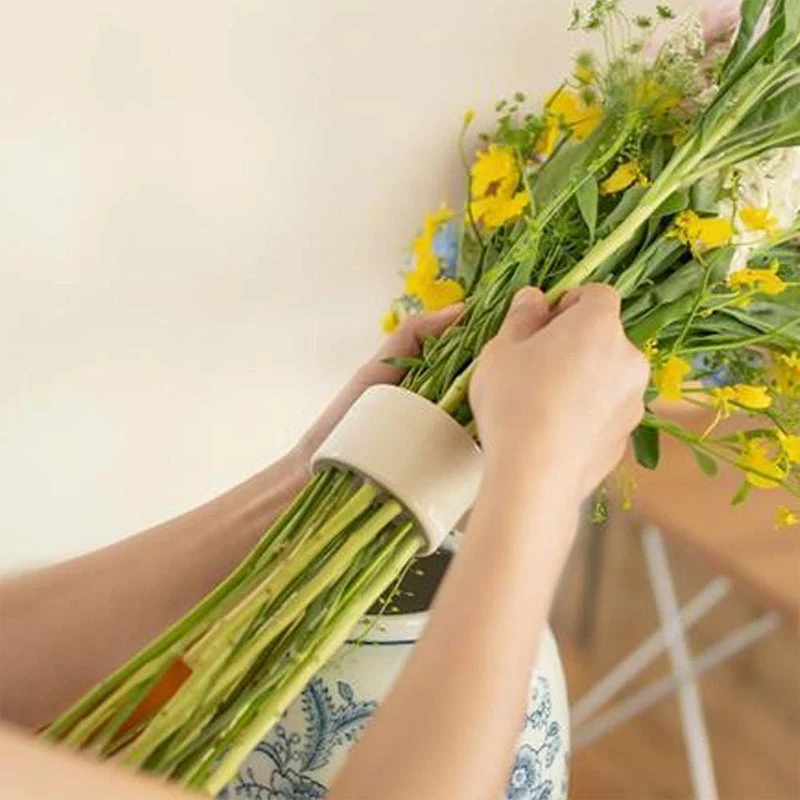 Spiral Ikebana Stilkholder | Luvikno