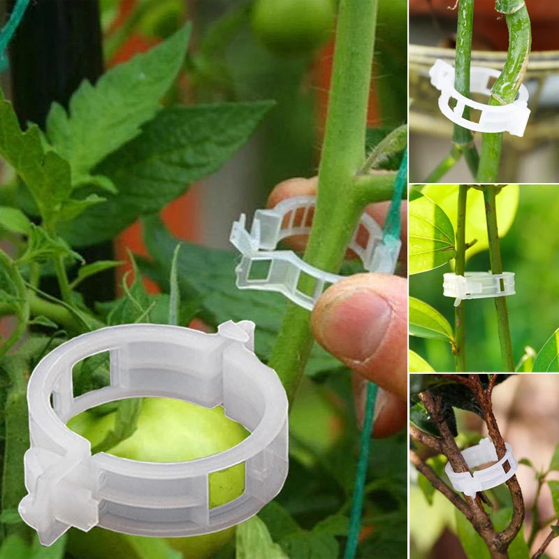 Praktisk Plante Støtte Klype | Luvikno