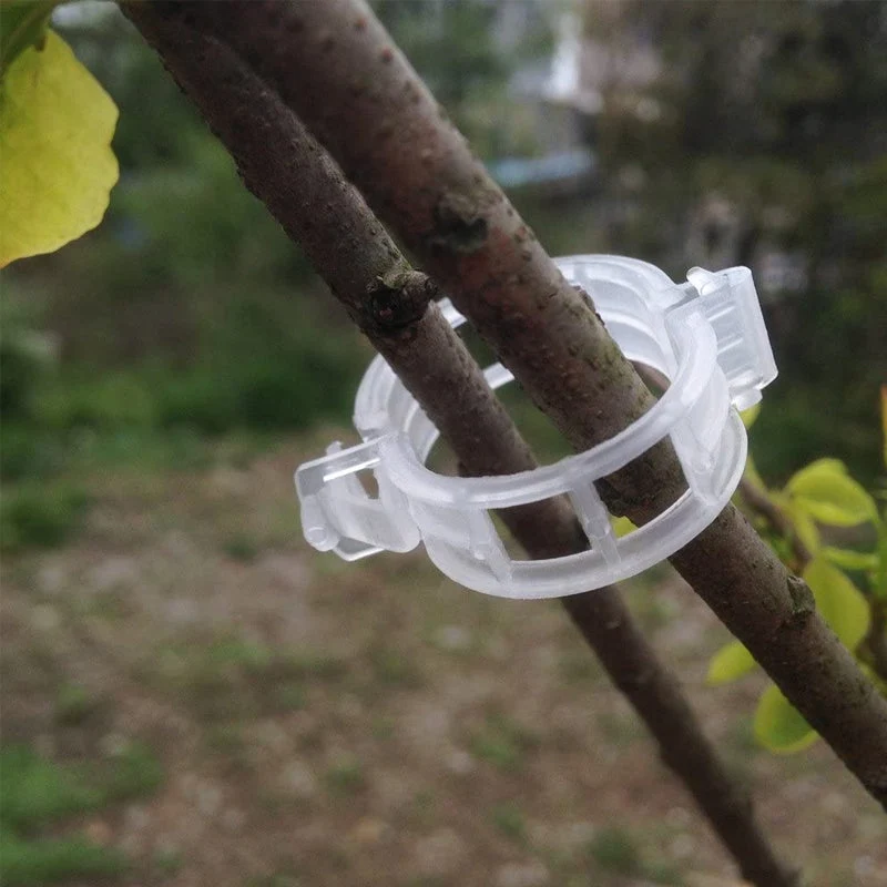Plastikkinn for å holde planter | Luvikno