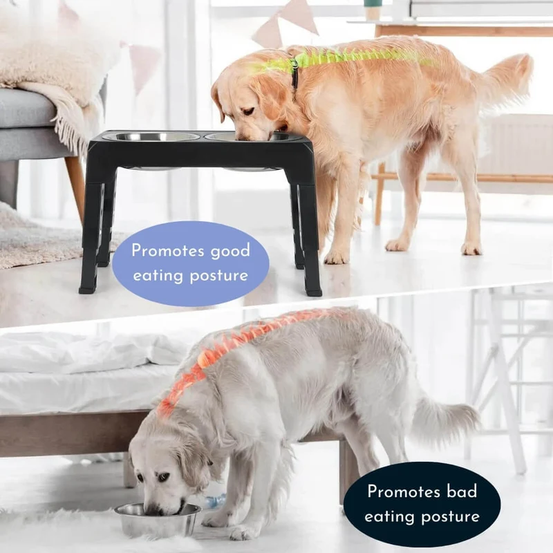 PupLift Hevet Hundeforsyning – Ergonomisk & Sakte Spising for Sunne Måltider | Luvikno
