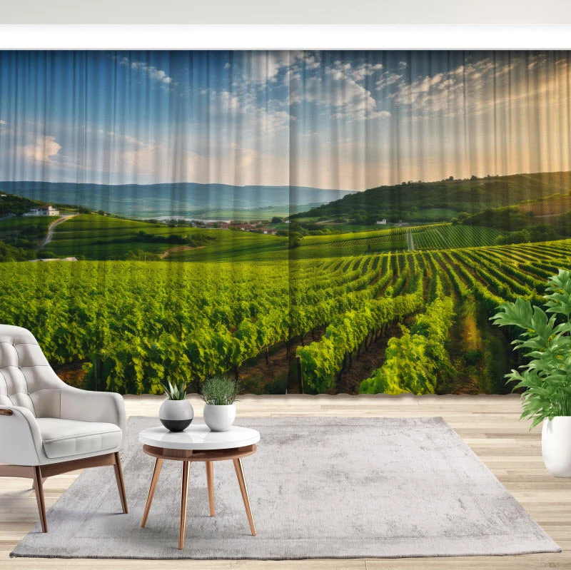 Fotovorhang "Grünes Feld für die Weinlese"