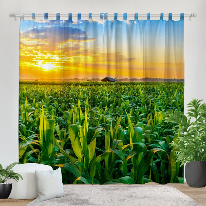 Fotovorhang "Maisfeld mit Sonnenuntergang"