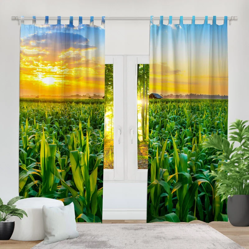 Fotovorhang "Maisfeld mit Sonnenuntergang"