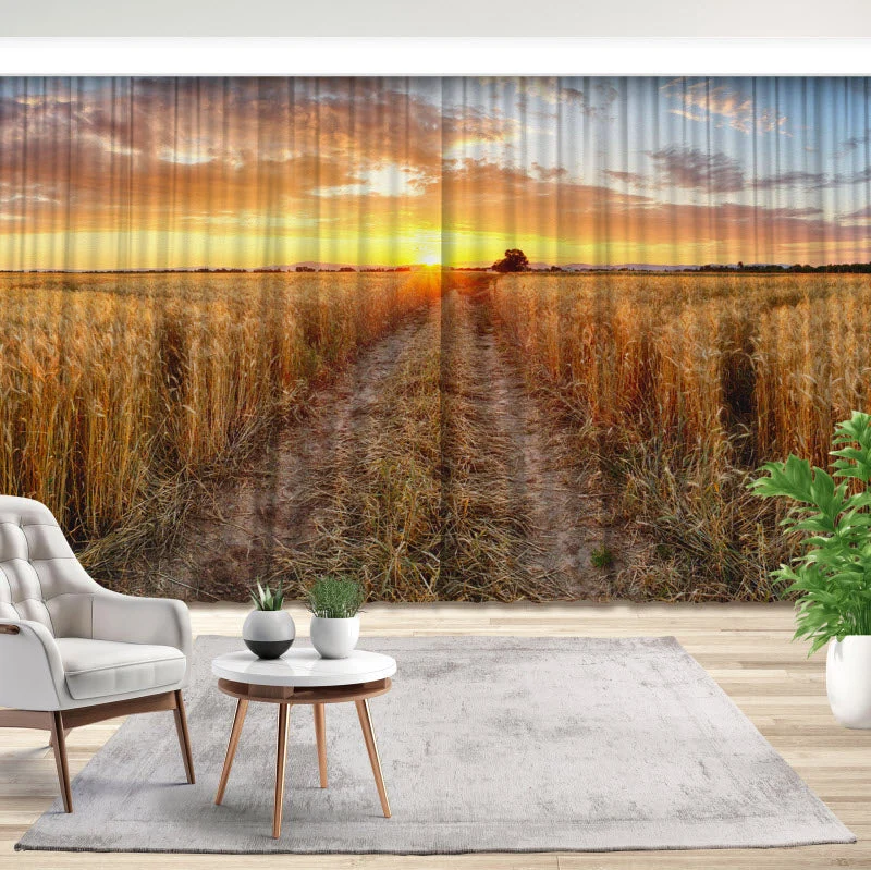 Fotovorhang "Weizenfeld bei Sonnenuntergang"