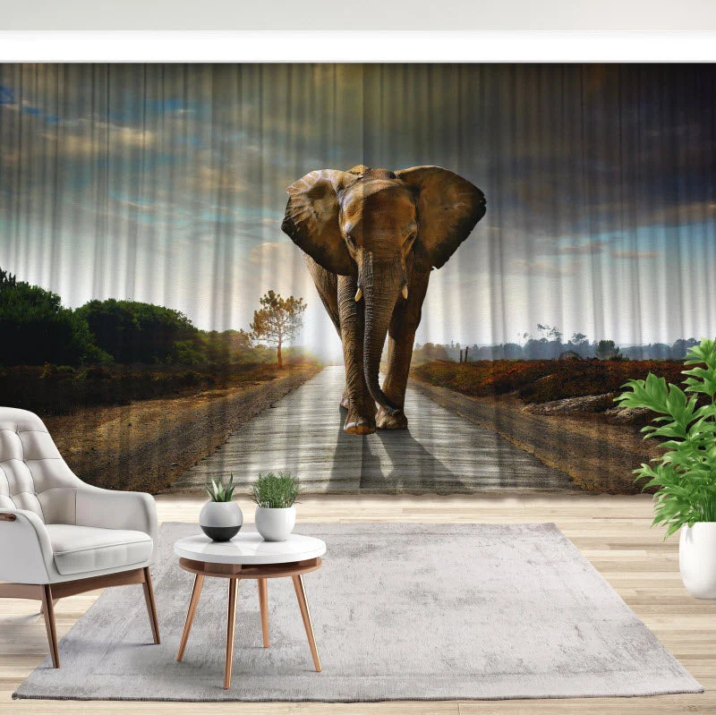 Fotovorhang "Der Elefant"