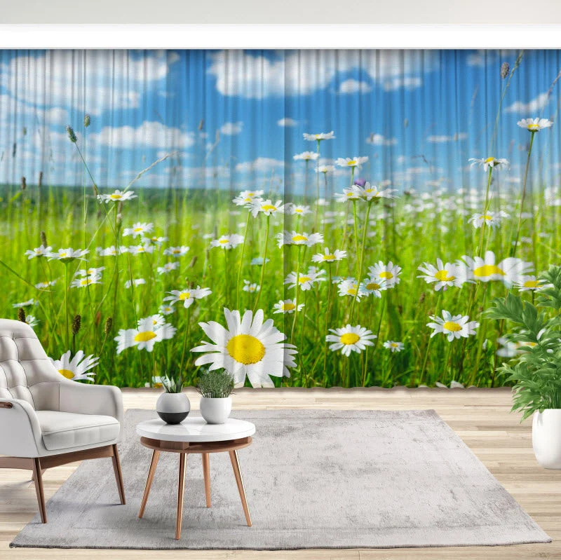 Fotovorhang "Gänseblühmchenwiese"