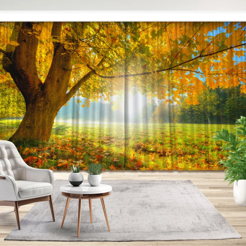 Fotovorhang "Herbstlicher Wald mit Sonnenschein"