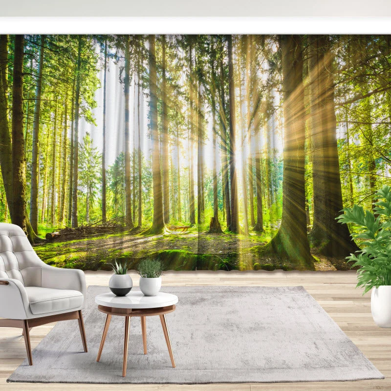 Fotovorhang "Sonne strahlt durch den Wald"