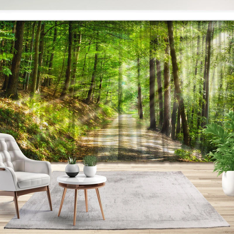 Fotovorhang "Waldweg mit Sonnenstrahlen"