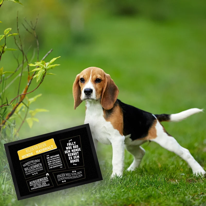 Regeln für diesen Hunde-Haushalt Fußmatte