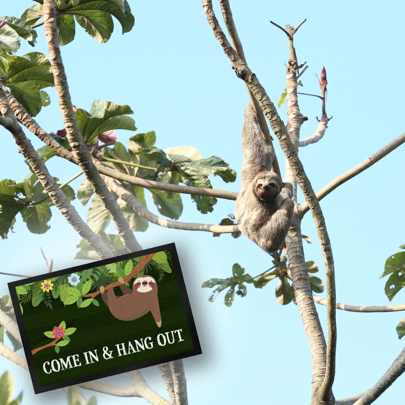 Come in and hang out Faultier Fußmatte