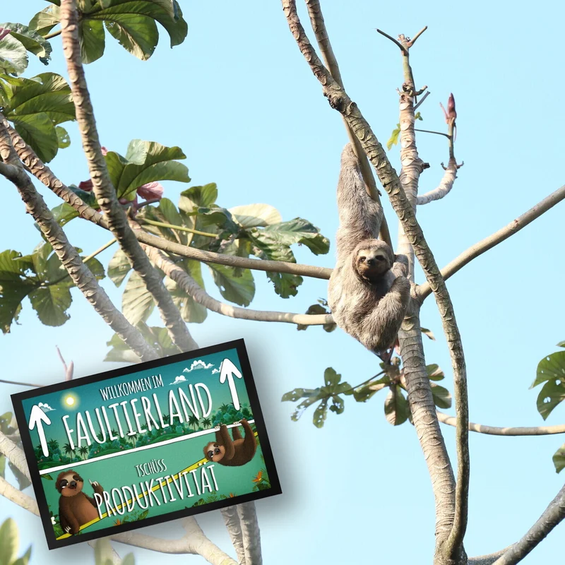 Willkommen im Faultierland Fußmatte