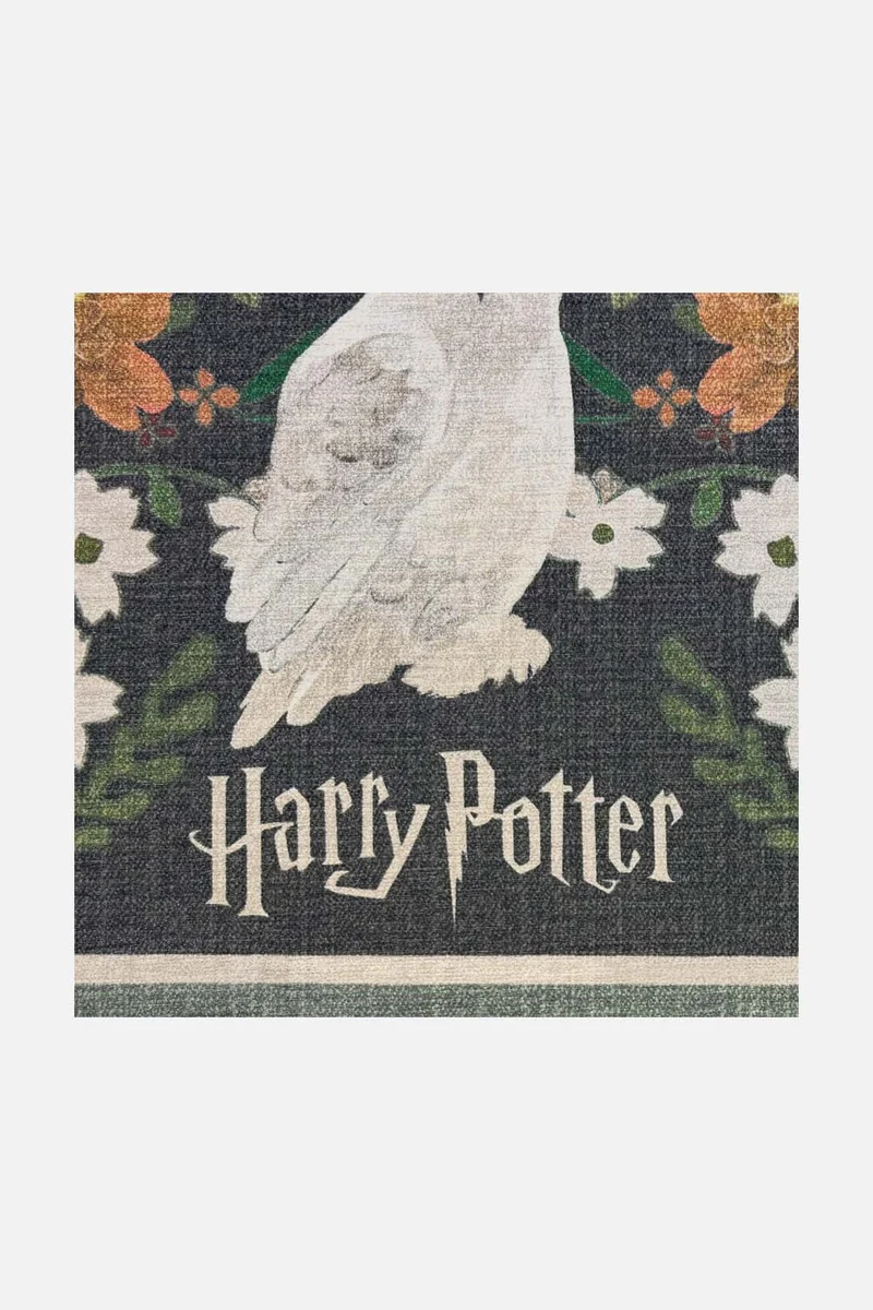 Harry Potter™ Florensia Moos Teppich