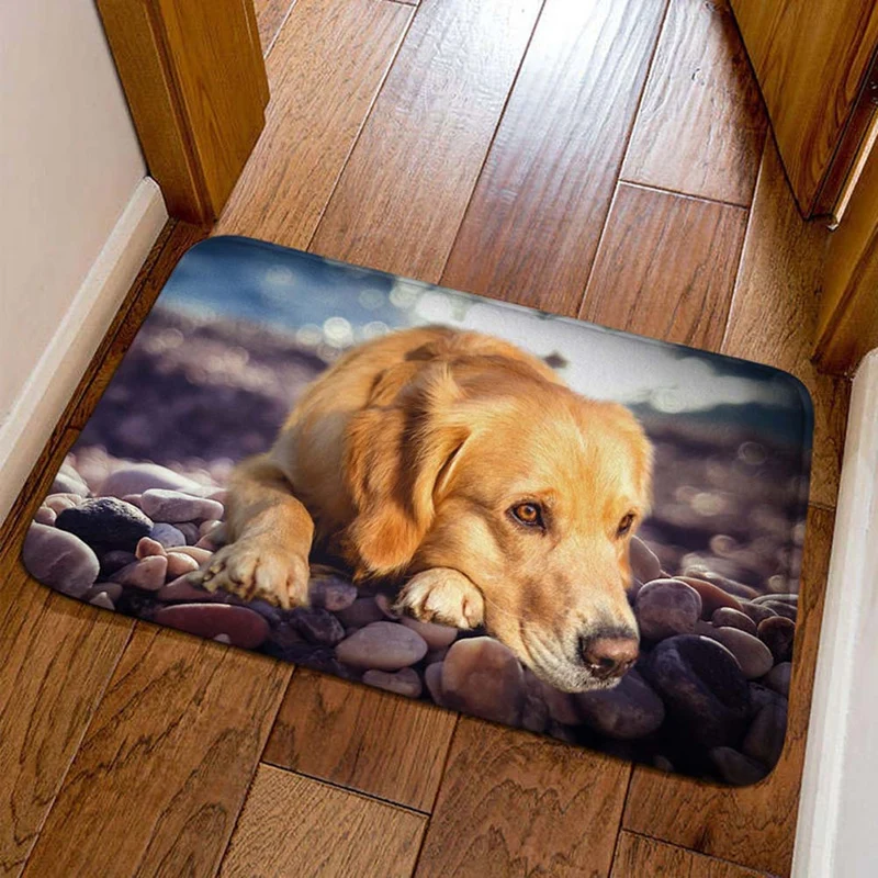 Decorative Cat Welcome Mat Stornfield