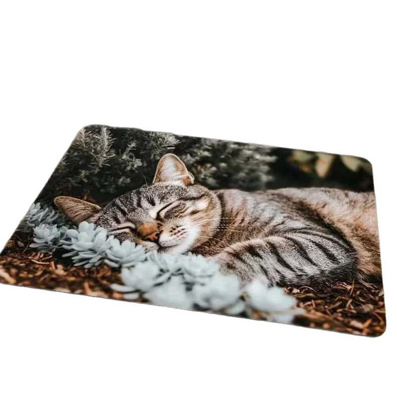 Decorative Cat Welcome Mat Stornfield
