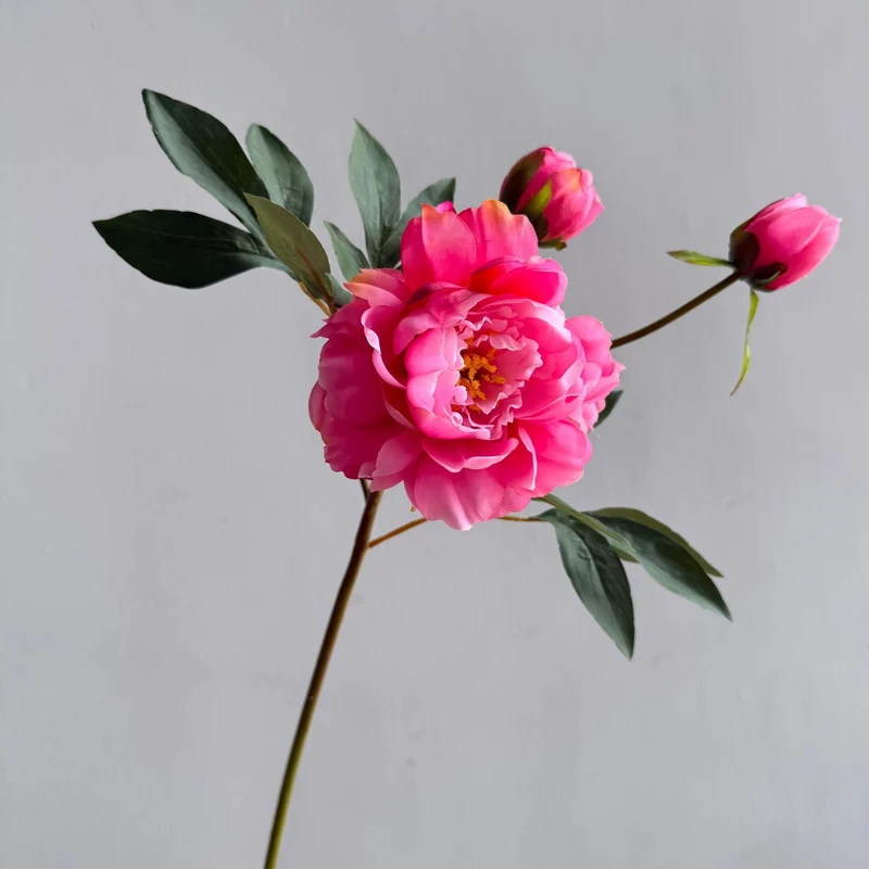 Dekorative Blumenarrangement