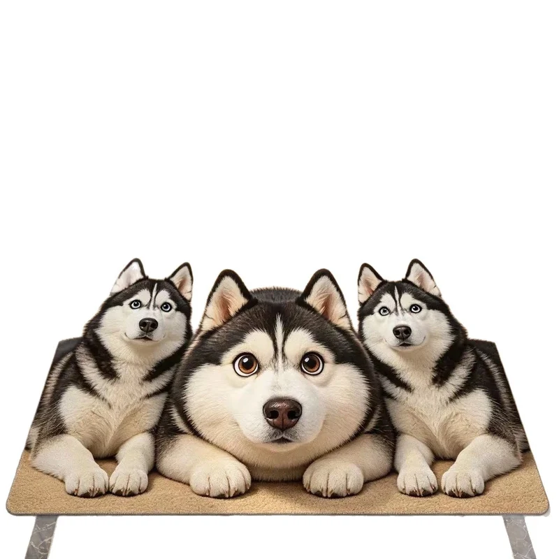 Corgi-Themed Plush Area Rug Stornfield