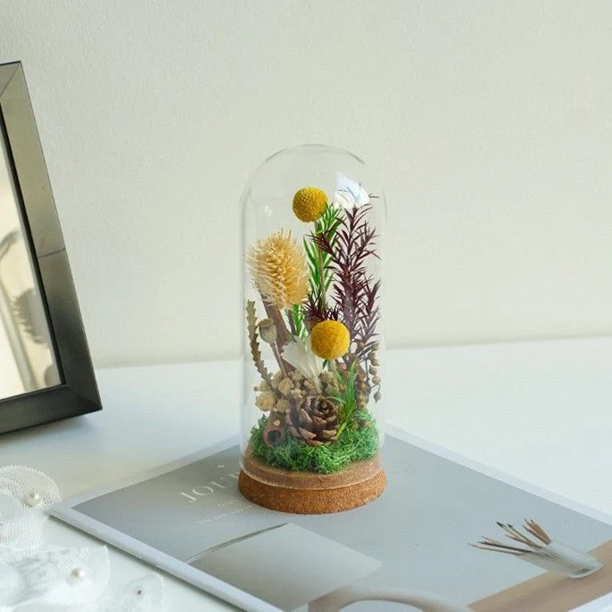 Moderner dekorativer floraler Terrarium
