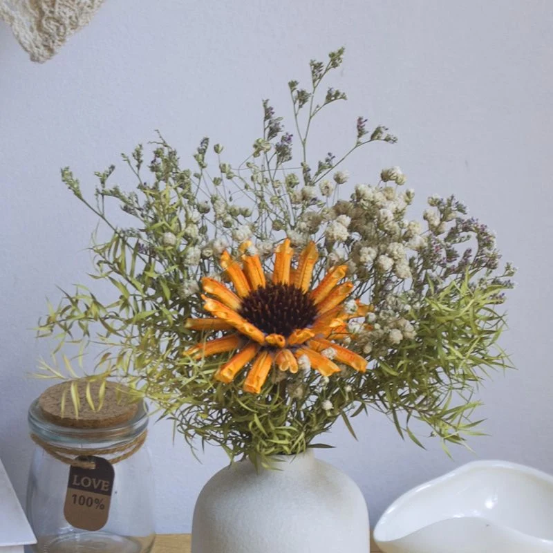 Getrocknete Blumen Botanische Anordnung