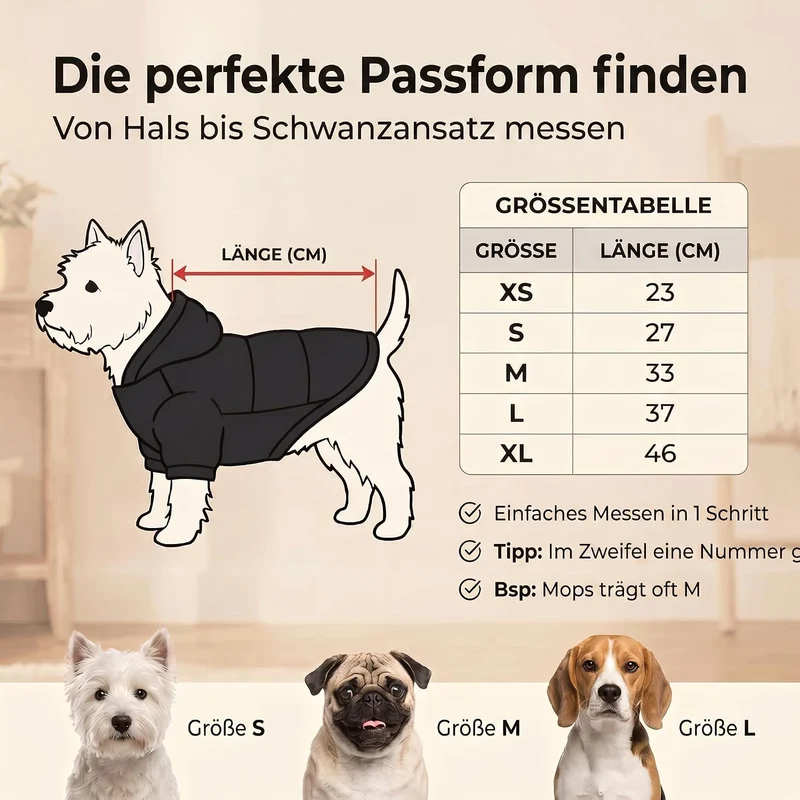 Warmer Hundemantel mit Kapuze – Hundejacke für kleine Hunde