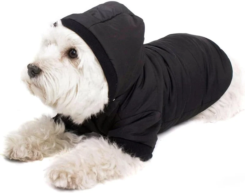 Warmer Hundemantel mit Kapuze – Hundejacke für kleine Hunde