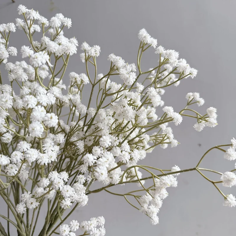 Decorative Floral