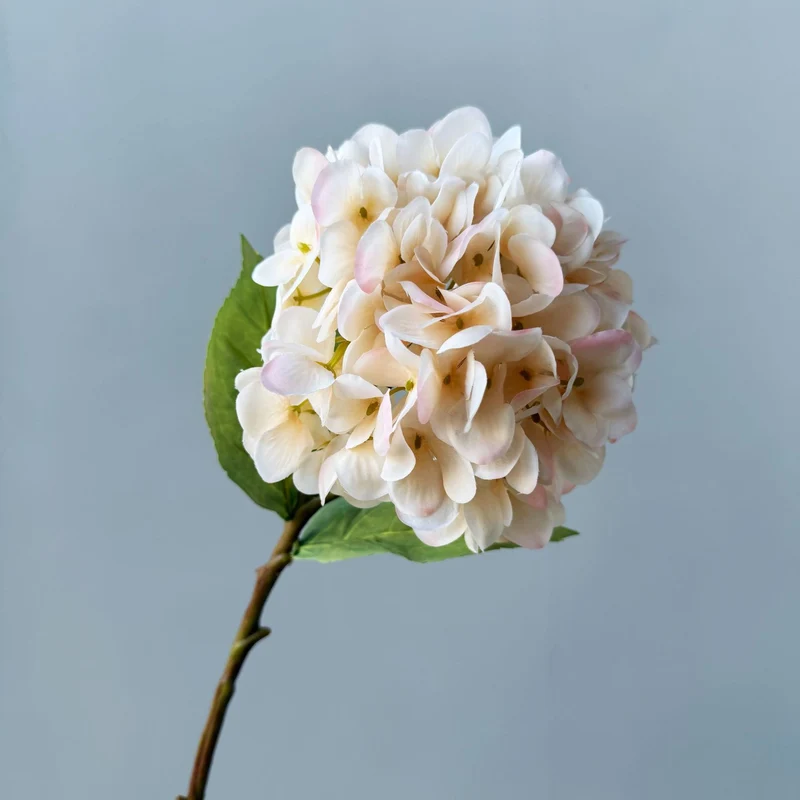 Floral Decorative