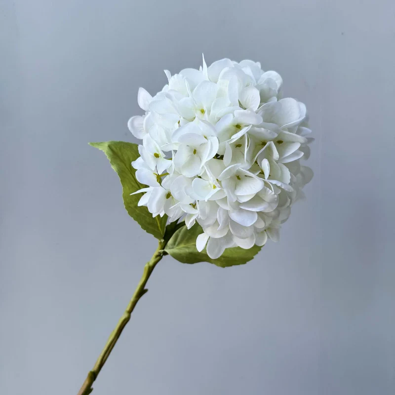 Floral Decorative