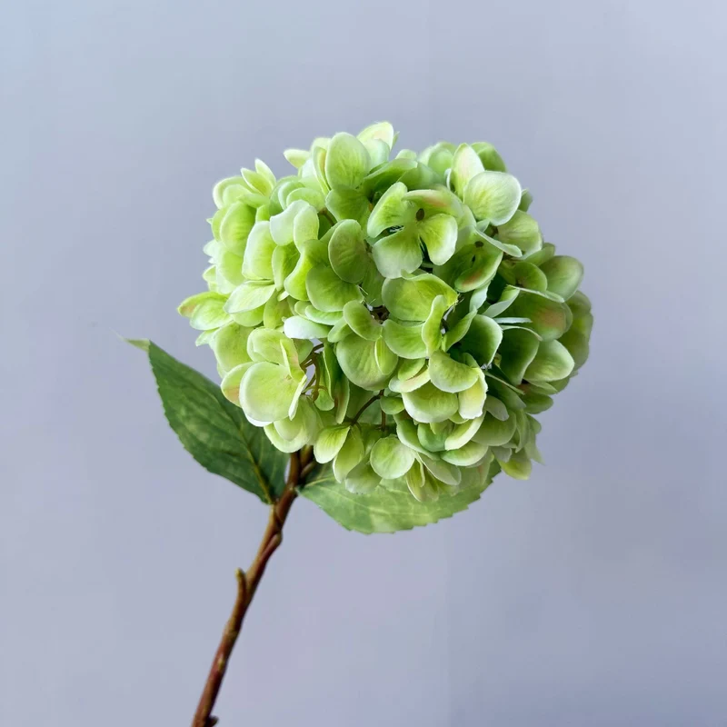 Floral Decorative