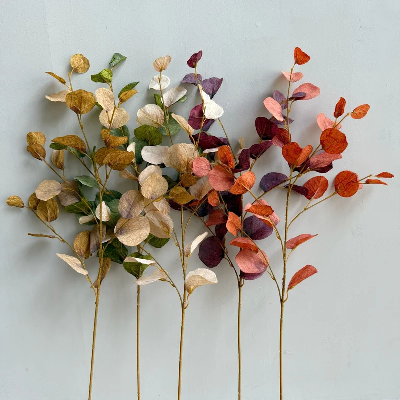 Elegant Decorative Eucalyptus Branch