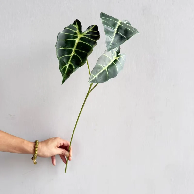 Modern Decorative Plant