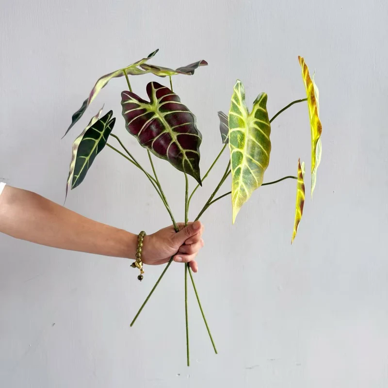 Modern Decorative Plant