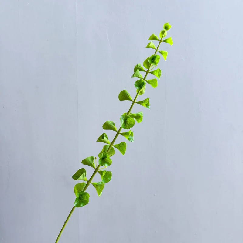 Stylish Indoor Plant Decor